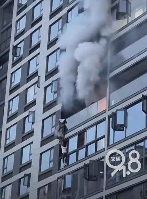 临平新闻爆料最新消息,重大事件引发社会关注！  第3张